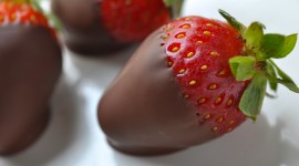 Berries In Chocolate Photo