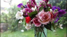Bouquet In A Vase Wallpaper Free