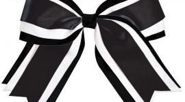 Bows Picture Download