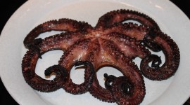Cooked Octopus Desktop Wallpaper