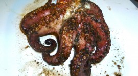 Cooked Octopus Photo