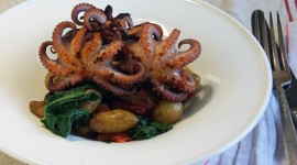 Cooked Octopus Photo Download
