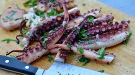 Cooked Octopus Photo#1