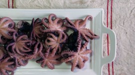 Cooked Octopus Pics