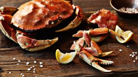 Crab Dishes Best Wallpaper