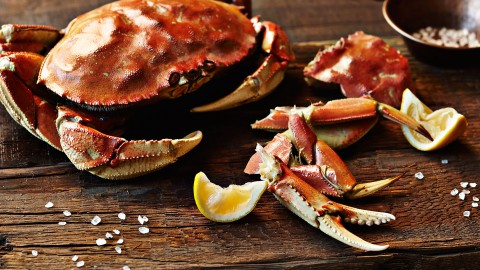 Crab Dishes wallpapers high quality
