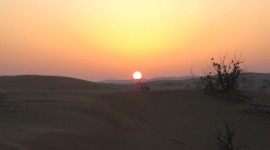Dawn In The Desert Wallpaper#1