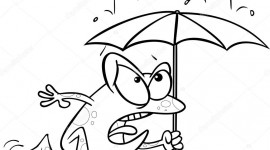 Frog With Umbrella Image Download