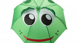 Frog With Umbrella Photo#1