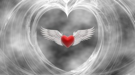 Heart With Wings Desktop Wallpaper