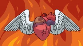 Heart With Wings Photo