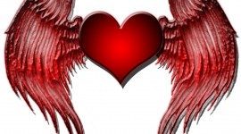 Heart With Wings Photo Free