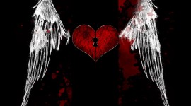 Heart With Wings Wallpaper Download