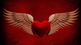 Heart With Wings Wallpaper Gallery