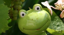 Smiling Frog Wallpaper For Android