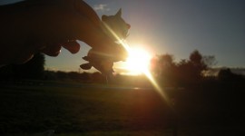 The Sun In The Hands Photo Free