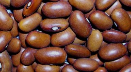 Bean Desktop Wallpaper