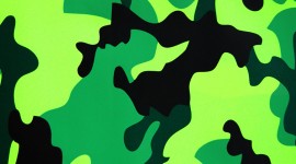 Camouflage Green Wallpaper