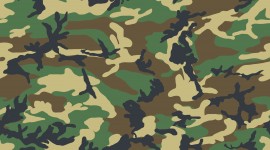 Camouflage Green Wallpaper Free