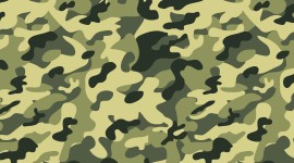 Camouflage Green Wallpaper Gallery