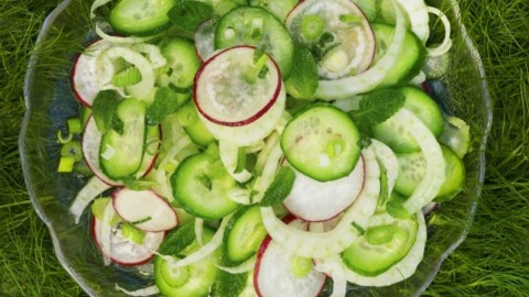 Cucumber Salad wallpapers high quality