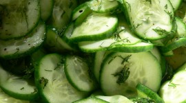 Cucumber Salad Desktop Wallpaper For PC