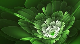Green Flowers Image