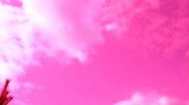 Pink Desktop Wallpaper HD