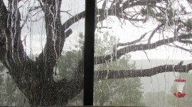 The Rain Outside The Window Photo