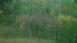 The Rain Outside The Window Photo#1