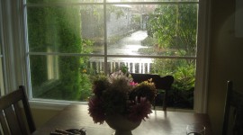 The Rain Outside The Window Wallpaper