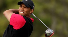 Tiger Woods High Quality Wallpaper