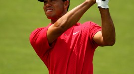 Tiger Woods Wallpaper Download Free