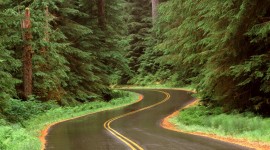 Winding Road Wallpaper For PC