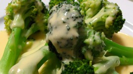 Broccoli Dishes Photo Download