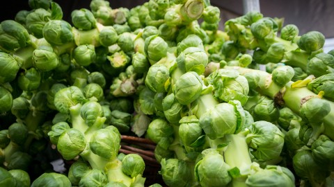 Brussels Sprouts wallpapers high quality