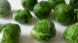 Brussels Sprouts Wallpaper Free