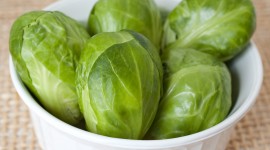 Brussels Sprouts Wallpaper Gallery