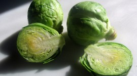Brussels Sprouts Wallpaper HQ#2