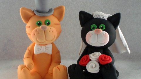 Cat Wedding wallpapers high quality
