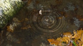 Circles On The Water Wallpaper Gallery
