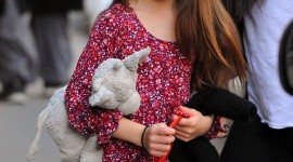 Suri Cruise Wallpaper For IPhone 6 Download