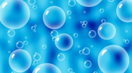 Bubbles Wallpaper Gallery