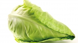 Cabbage Desktop Wallpaper