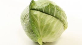 Cabbage Desktop Wallpaper For PC