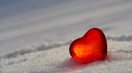 Glass Heart Photo Download