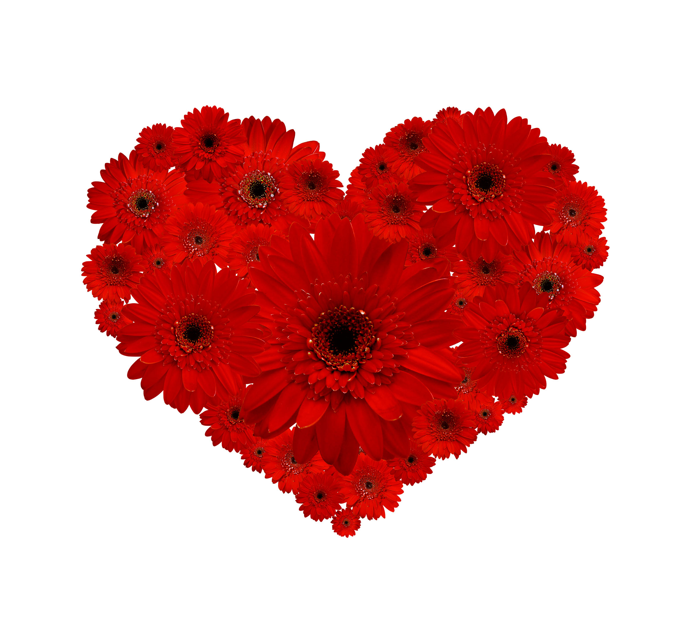 Heart Of Flowers Wallpapers High Quality | Download Free