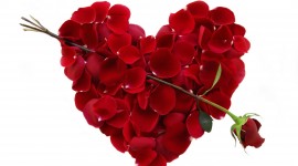 Heart Of Roses Desktop Wallpaper