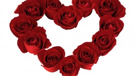 Heart Of Roses Wallpaper