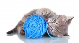 Kittens And Yarn Wallpaper 1080p